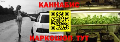 сатива Будённовск