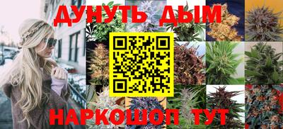 сатива Будённовск