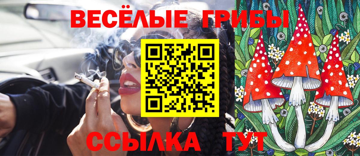 Ульяновск  Псилоцибиновые грибы мицелий  Вход с VPN 
