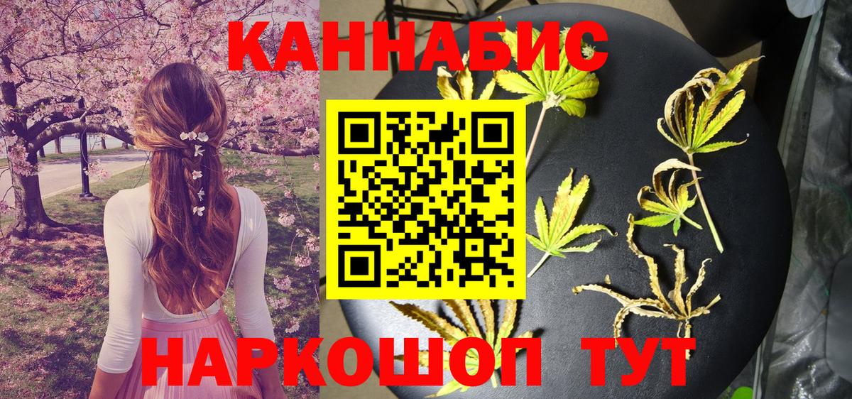 Бошки Шишки семена  Шишки марихуана OG Kush  Ульяновск  Вход с VPN  Каннабис Ganja 